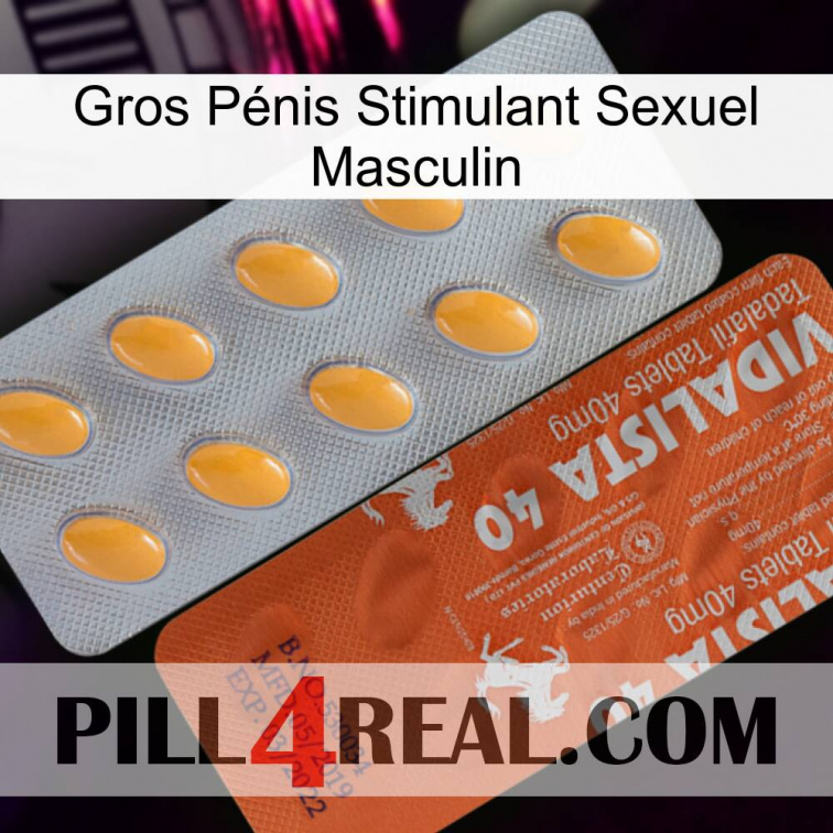 Gros Pénis Stimulant Sexuel Masculin 43